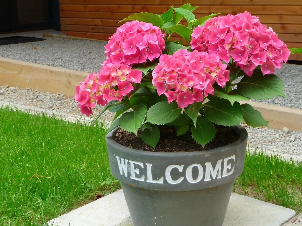 Le Jardin Aux Oiseaux Bed & Breakfast Ferel 0*,